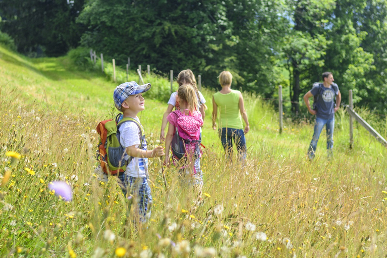 Adobe Stock Foto Familie in der Sommerwiese