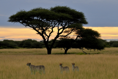 namibia